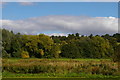 TL5238 : Audley End: view north towards the obelisk by Christopher Hilton