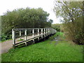 TQ6103 : Footbridge in Shinewater Park by PAUL FARMER