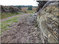 TF6728 : Strata in the old sea cliffs, Dersingham Bog, Norfolk by Richard Humphrey