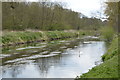 TL8088 : River Little Ouse by N Chadwick