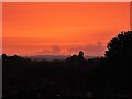 TQ7818 : Hurricane 'Ophelia' orange sky from Churchland Lane by Patrick Roper