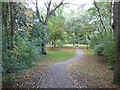 SJ7661 : Path in Sandbach Park by Stephen Craven