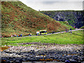 C9444 : Giant's Causeway, Shuttle Bus from the National Trust Visitor Centre by David Dixon