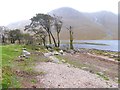 NN1145 : Loch Etive shore by Oliver Dixon