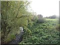 NZ3364 : River Don, Jarrow by Graham Robson