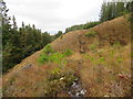 NN2599 : Deer path in forest break north of Meall nan Ruadhag near Loch Garry by ian shiell