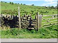 SD8240 : A stile on a footpath by Steve Daniels