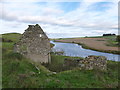 NS8940 : Boathaugh and the River Clyde by Alan O'Dowd