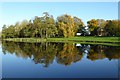 SP6736 : Trees reflected in the Octagon Lake by Philip Halling