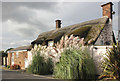 SJ3180 : Chicken Corner Farm at Four Lanes End by Jeff Buck