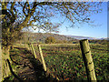 SJ9892 : Cown Edge Way by Stephen Burton