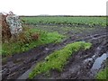 SW3828 : Gateway into a cabbage field by Philip Halling