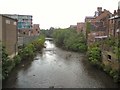 SJ9698 : River Tame by Gerald England