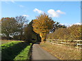 TL6209 : Road to Mountneys, Roxwell by Roger Jones