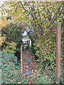 TL6409 : Footbridge, Boyton Cross, Roxwell by Roger Jones