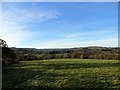 NZ1747 : View across the field in front of Manor House farm by Robert Graham