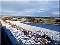 NJ6505 : View towards Auchorrie from B993 by Stanley Howe