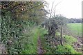 SJ2981 : Path near Thornton Manor by Jeff Buck