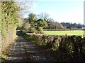 SO5161 : Track and footpath off the A49 by Philip Halling