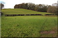 SO3828 : Lower House Farm pasture land, Ewyas Harold by Jaggery