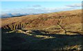 NS4377 : An ancient field bank divides by Lairich Rig