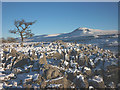 SD7075 : Snow and limestone, Twisleton Scar End by Karl and Ali