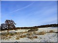 NZ1648 : Looking up the path in the snow by Robert Graham