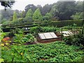 SZ4083 : The Kitchen Garden at Mottistone Manor by Steve Daniels