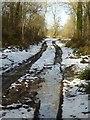 SO7942 : Snowy woodland track by Philip Halling