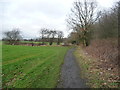 SE5310 : Public bridleway heading north from Skellow Cross by Christine Johnstone