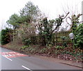 ST1882 : Visibility mirror on a tree, Lisvane Road, Lisvane, Cardiff by Jaggery