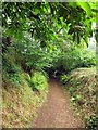 SZ4083 : The Gully at Mottistone Manor by Steve Daniels