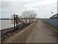 TQ5080 : Thames Path at Jenningtree Point, near Belvedere by Malc McDonald