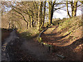 SJ6167 : Steps to a picnic bench by Stephen Craven