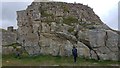 SY9776 : Watching for Wall Lizards at Winspit Quarry by Phil Champion