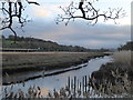 SX8772 : Water course between the Old Channel and the River Teign by Chris Allen