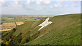 ST8951 : Westbury or Bratton White Horse, Wiltshire by Phil Champion