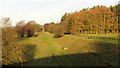 SE3166 : Dismantled railway, from Monkton Moor Bridge by Derek Harper