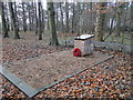 TL9581 : The Polish memorial at Knettishall Heath by Adrian S Pye