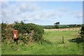 SM8226 : Letter box at Tremaenhir by Simon Mortimer