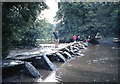 SS8632 : Tarr Steps (clapper bridge), Somerset by Jeff Buck