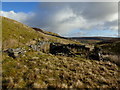 SD9595 : Abandoned Sheepfold above Black Gutter by Chris Heaton