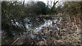 SP5269 : Old Line of the Oxford Canal by Guy Butler-Madden