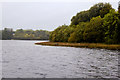 G9177 : River Eske Estuary, Shore to the  Southwest of Donegal Town by David Dixon