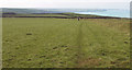 SX0583 : Footpath to Tregardock by Derek Harper