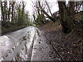 SJ2961 : Wet and muddy pavement alongside the A5104 west of Penyffordd, Flintshire by Jaggery