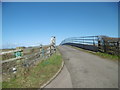 SY7994 : Tolpuddle, bridge by Mike Faherty