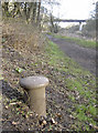 ST6470 : Mooring post on the Avon towpath by Neil Owen