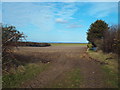 TG0542 : Field near Cley-next-the-Sea by Malc McDonald