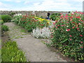 NU1341 : Gertrude Jekyll Garden, Lindisfarne by M J Richardson